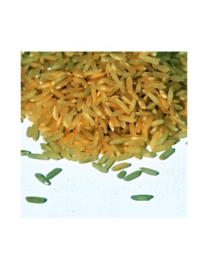 Riz complet Aromatico