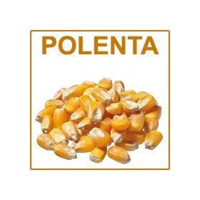 Corn Flour