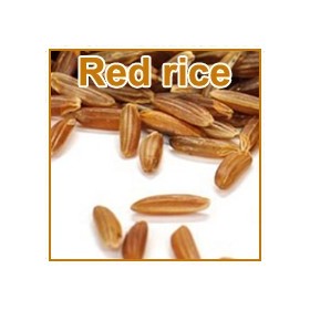 Roter Reis